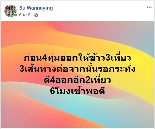 ให้ข้่าวหมา.jpg