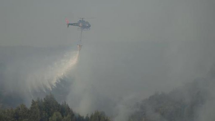 chile-forest-fire.jpg