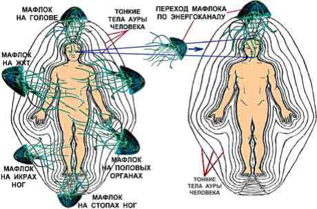 larvas+astrales.jpg