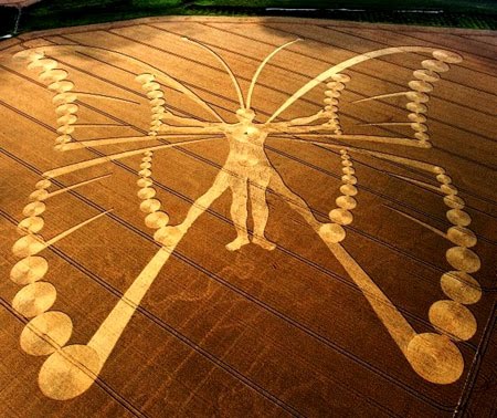 Netherlands Butterfly Metamorphosis Transformation Crop Circle.jpg